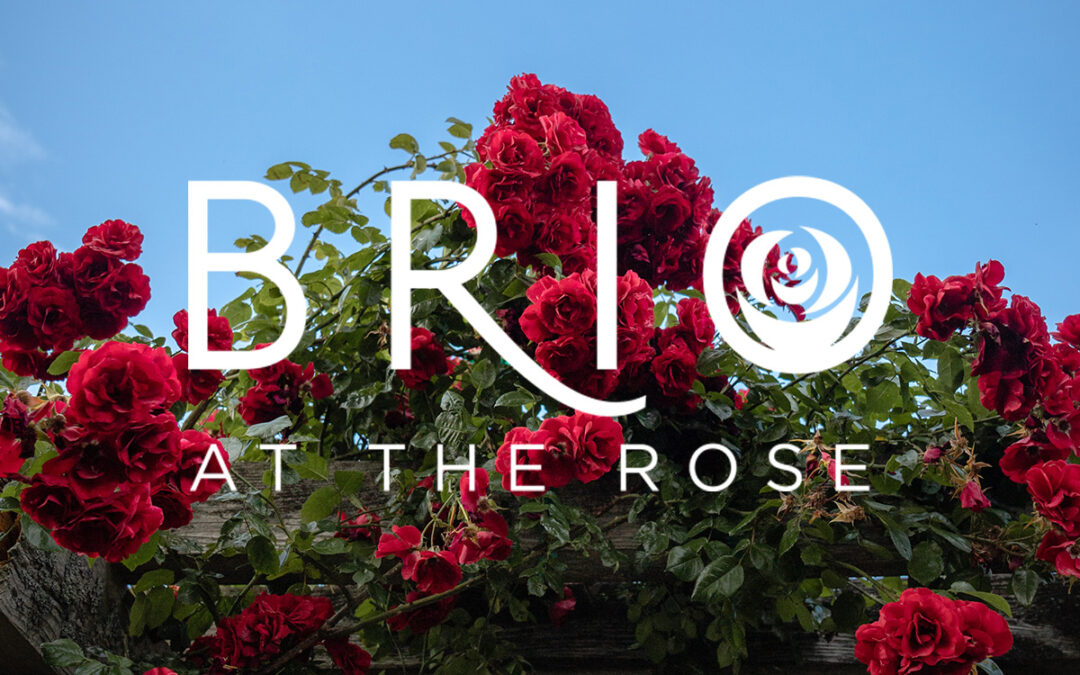 Brio at the Rose